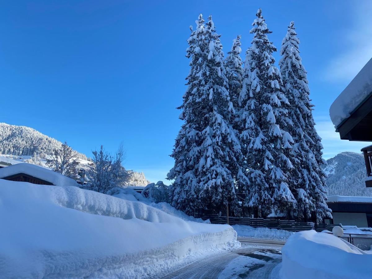Chaleureux Appartement Renove Ambiance Chalet Praz-sur-Arly Exterior photo